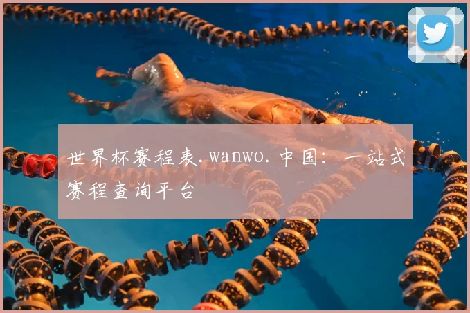 世界杯赛程表.wanwo.中国：一站式赛程查询平台