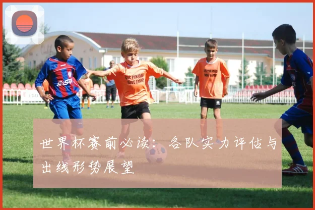 世界杯赛前必读：各队实力评估与出线形势展望